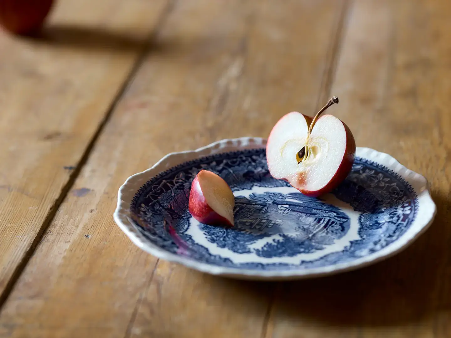 Turner house opening times